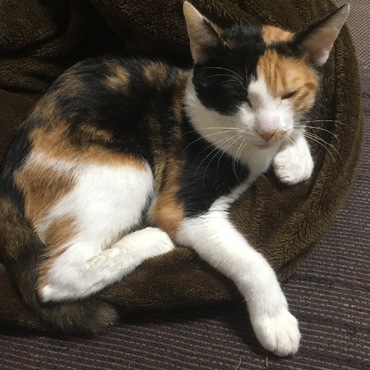 眠そうな顔してます！