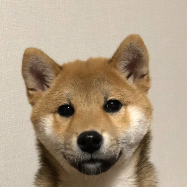 ナガツネのカバー写真