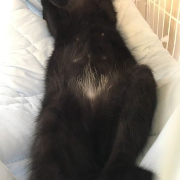 見てるだけで癒し♡
