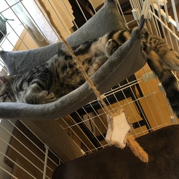 トライアル9日目。癒しな海くん♡