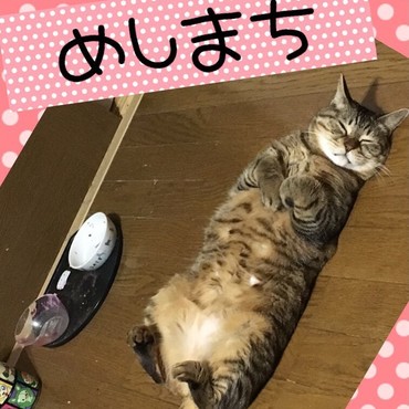 お腹が空くとこのポーズ