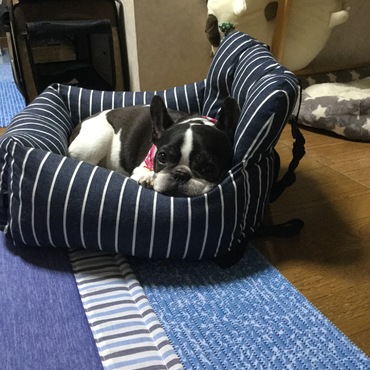 可愛い❤️