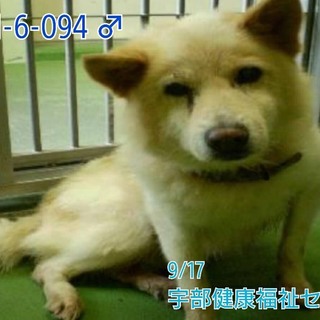 飼い主様返還です ありがとうございます