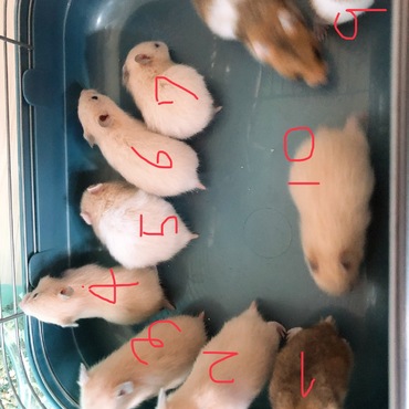 10匹居ます！気になる番号で知らせてください！