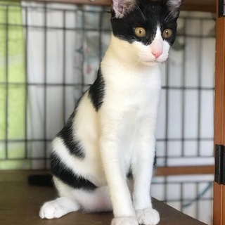 やる気満々の男の子・プラム