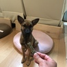 おやつ大好き