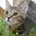 可愛いすぎる！！なっちゃんです