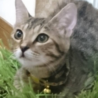 可愛いすぎる！！なっちゃんです
