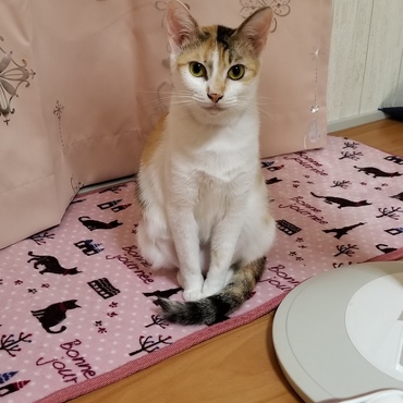 ｢おねーちゃん、遊んで欲しいな…｣