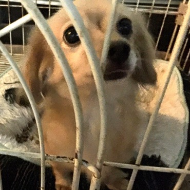 うるうる