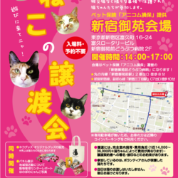 ねこの譲渡会＠新宿御苑（ペット保険「アニコム損保」提供会場）
