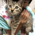 生後2カ月 メス 