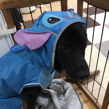 アルッチ（≧∇≦）