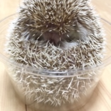 の写真