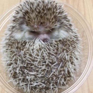 の写真
