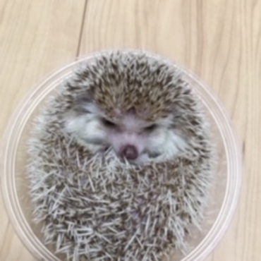 の写真