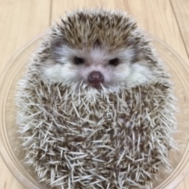 の写真