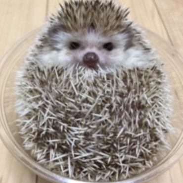 の写真