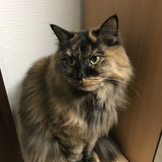 可愛がってくださる方