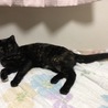 マサルちゃん