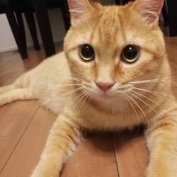 「カイくんの近況♡」サムネイル2