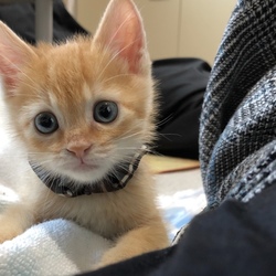 「カイくんの近況♡」サムネイル3