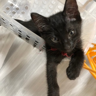 添い寝じゃなきゃイヤ‼︎な甘えん坊♡