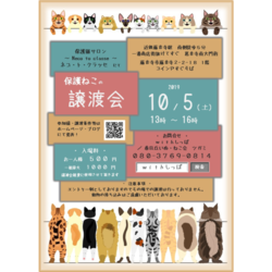 10.5藤井寺保護猫サロン保護猫譲渡会