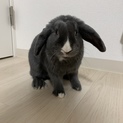 募集一旦停止です。
