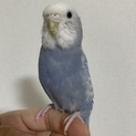 募集一旦停止です。