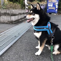小次郎