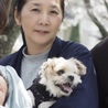 あおめい