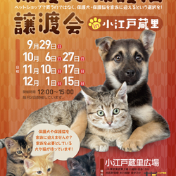 【川越】犬猫譲渡会 in 小江戸蔵里