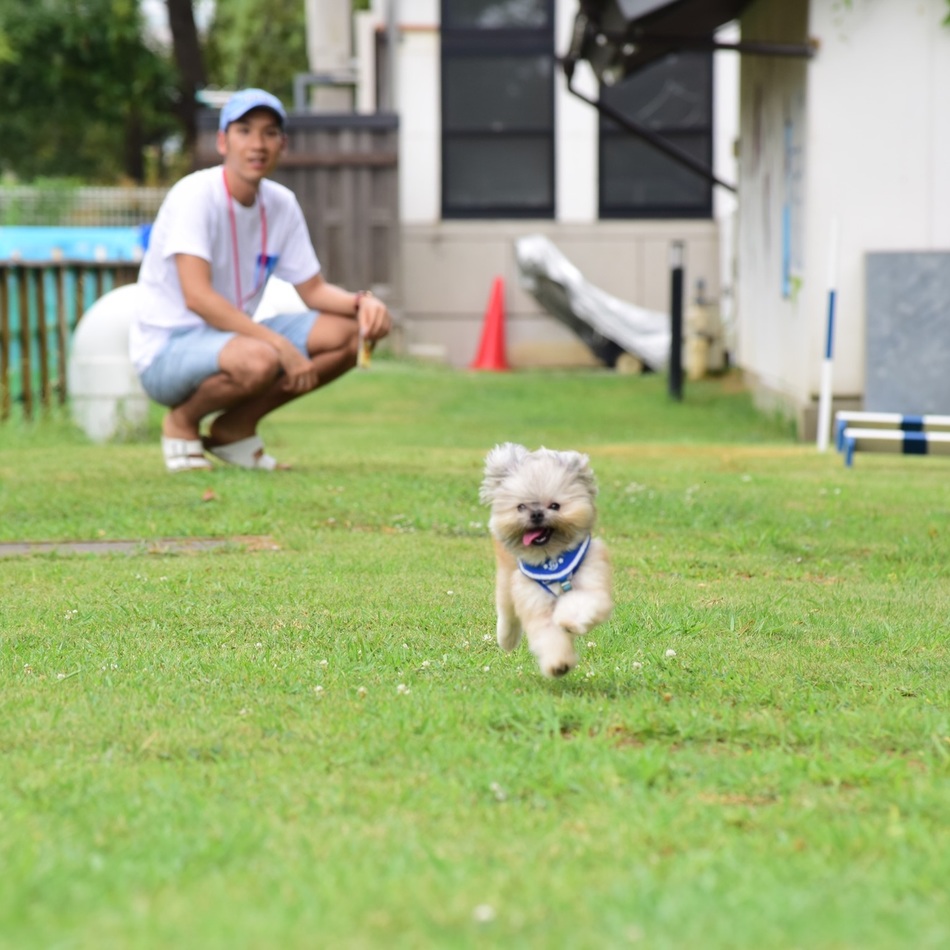 豆太のカバー写真