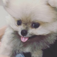 マロン