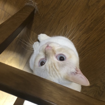 じーっ…