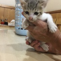 人なっこい子です