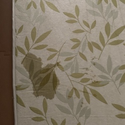 「粗相2回目orz」サムネイル2