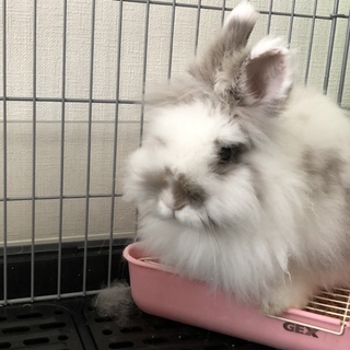 ありがとうございました。