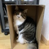 マサ0617