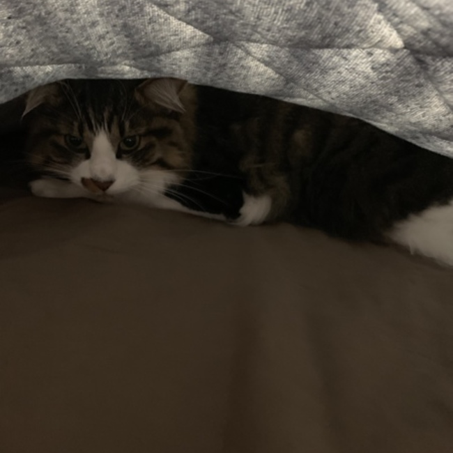 マサ0617のカバー写真