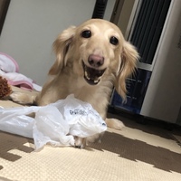 だっちゃん