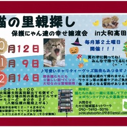 保護にゃん達の幸せ譲渡会in大和高田市