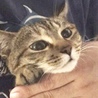 の写真