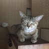 の写真