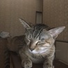の写真