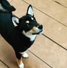 何見てる？