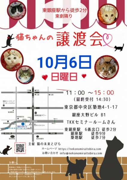 猫の未来とびら譲渡会 猫の未来とびらのイベント 8284 ペットのおうち 月間利用者150万人