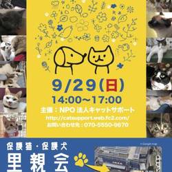 里親会IN IKEA立川