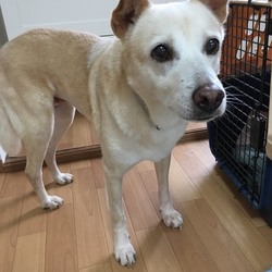 里親会IN IKEA立川 サムネイル2